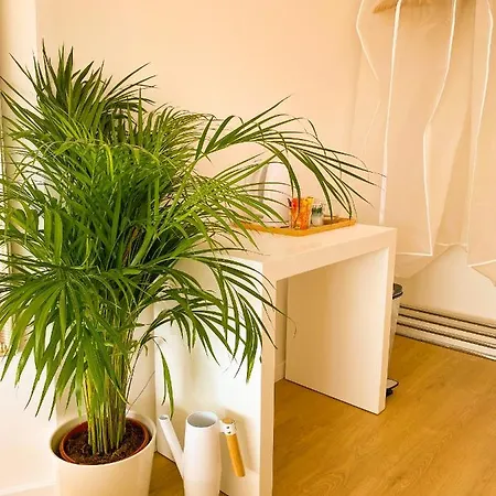 Ideally Located With Perfect Views Habitación en casa particular *